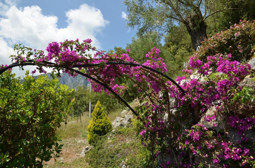 Agrestis Domus Guest House ซานโจวานี อาปีโร ภายนอก รูปภาพ